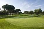 Golf Clubs in Montreal - Things to Do In Montreal